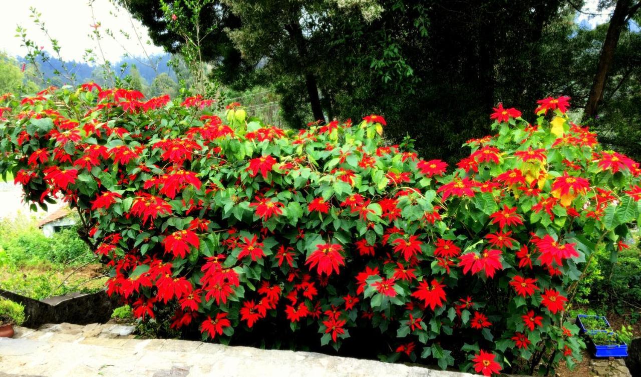 Maruti Villa Kodaikanal Exterior foto