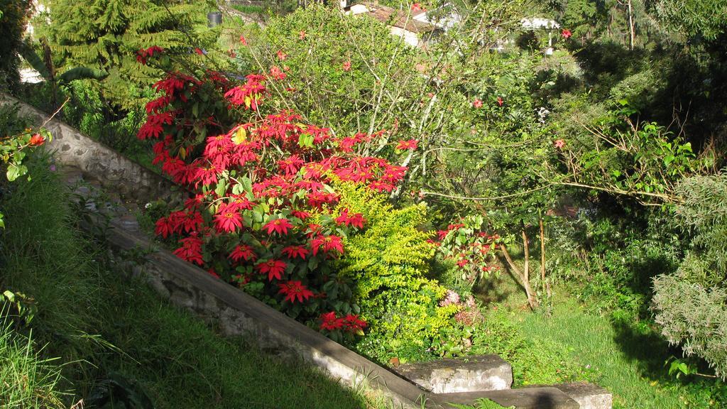 Maruti Villa Kodaikanal Exterior foto